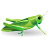 Grasshopper