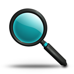 Search Magnifier