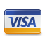 Visa credit card