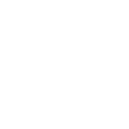 Metro Opera