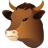 Bull head