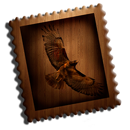 Mail Wooden