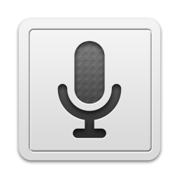 Google Voice Search