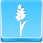 Wheet Blue