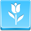 Tulip Blue