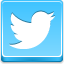 Twitter Bird Blue