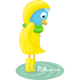 fall raincoat follow me