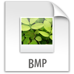 File BMP