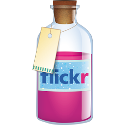 Flickr Bottle