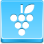 Grapes Blue