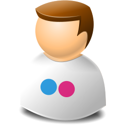 User web 2.0 flickr