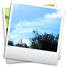 Photographs