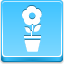 Pot Flower Blue