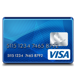 Visa Standard