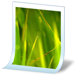 Document Image Bmp