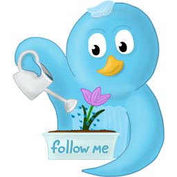 spring flower follow me