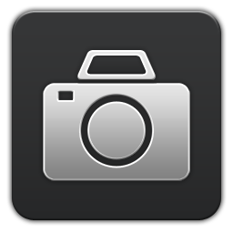 Pictures Grey