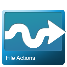 File Actions