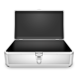 The Case