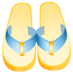 Flip Flops