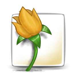 Illustrator