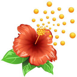 Pollen flower