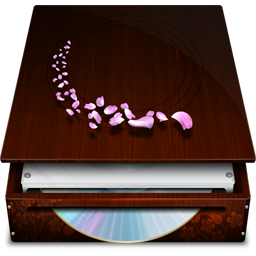 Dvd rom