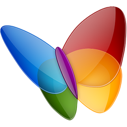 Papillon MSN