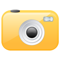 Camera organe