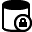 Database security