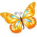 Butterfly Orange