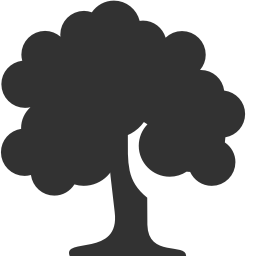 Deciduous Tree