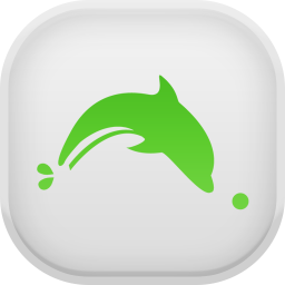 Dolphin Light