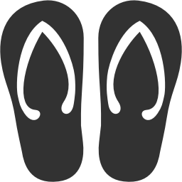 Flip Flop