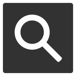 Google Web Search