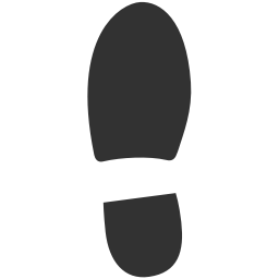 Left Shoe