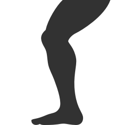 Leg