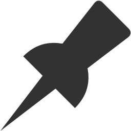 Pin