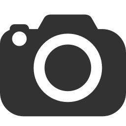 Slr Camera