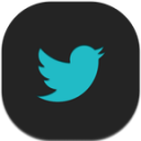 Twitter Flat Round