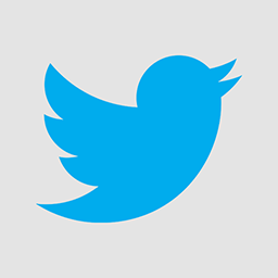Twitter Light flat