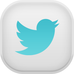 Twitter Light